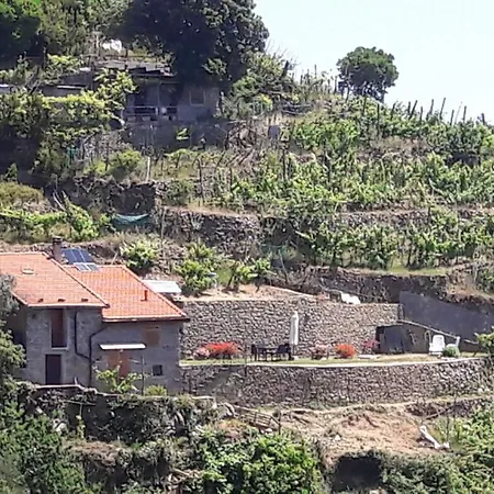 Tatil Evi Casa A Picco Sul Mare 5 Terre