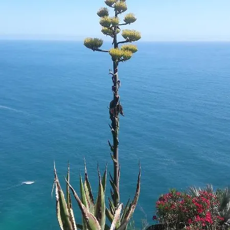 Casa A Picco Sul Mare 5 Terre Vakantiehuis Campiglia (Liguria)