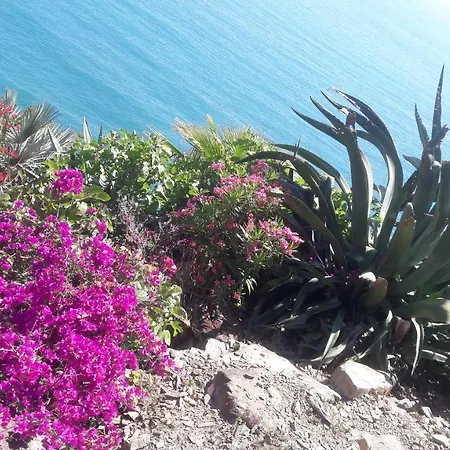 Tatil Evi Casa A Picco Sul Mare 5 Terre *