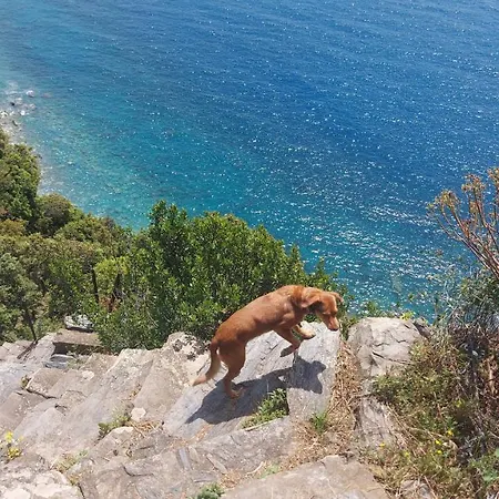 Casa A Picco Sul Mare 5 Terre Campiglia (Liguria)