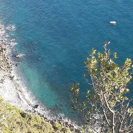 Tatil Evi Casa A Picco Sul Mare 5 Terre