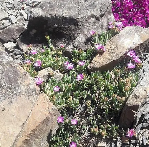 Casa A Picco Sul Mare 5 Terre *