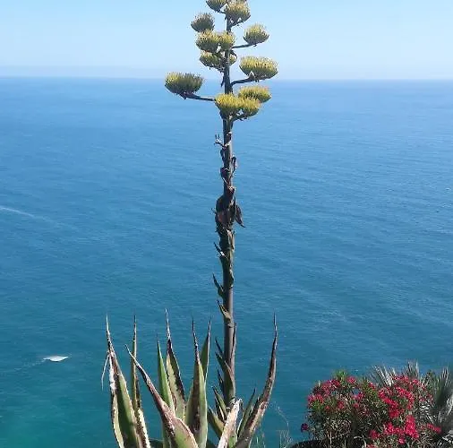 Casa A Picco Sul Mare 5 Terre Σπίτι διακοπών Campiglia (Liguria)