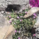 Casa A Picco Sul Mare 5 Terre *