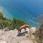 Casa A Picco Sul Mare 5 Terre קמפיליה