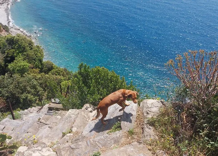 Casa A Picco Sul Mare 5 Terre 캄피글리아